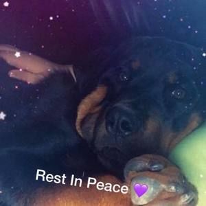 Meet your Posher, Brielle